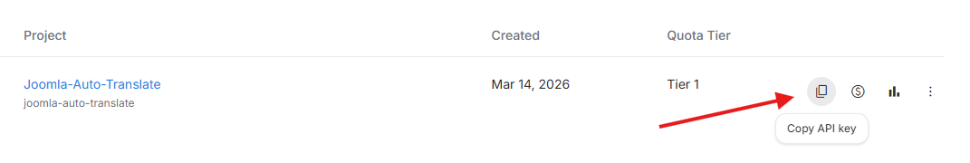 google ai studio copy key